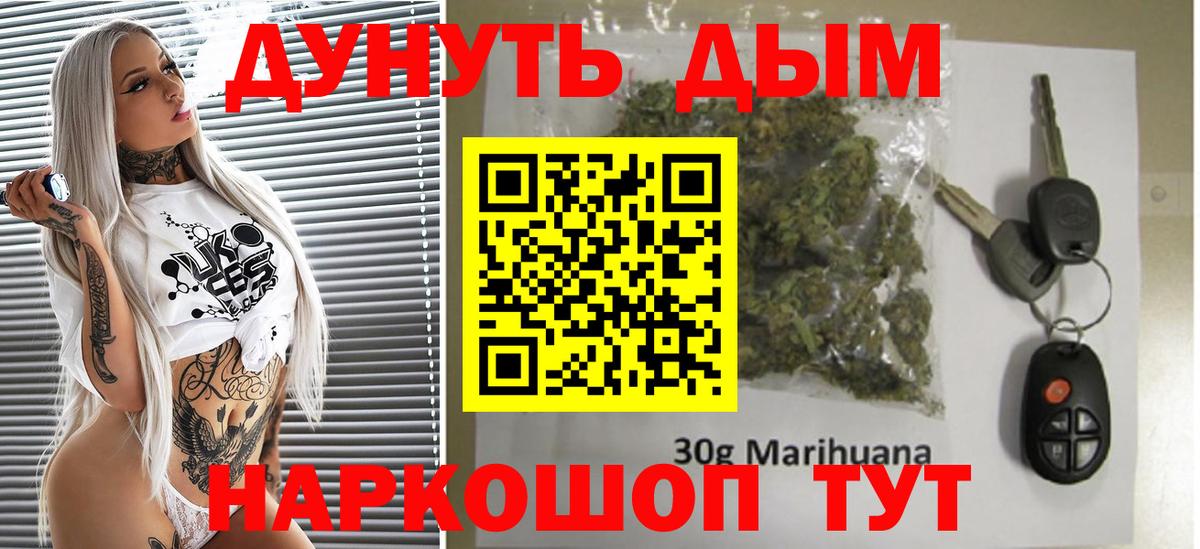 Канабис план Новозыбков